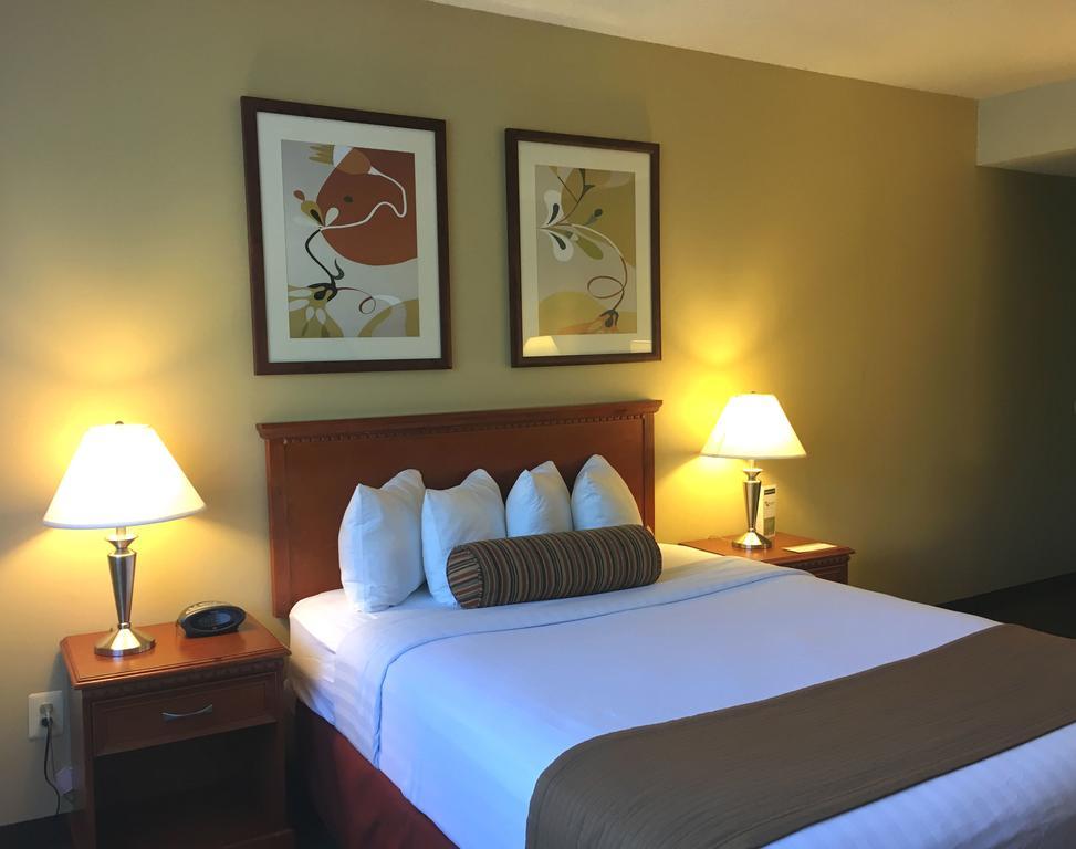 The Loyal Hotel 3*