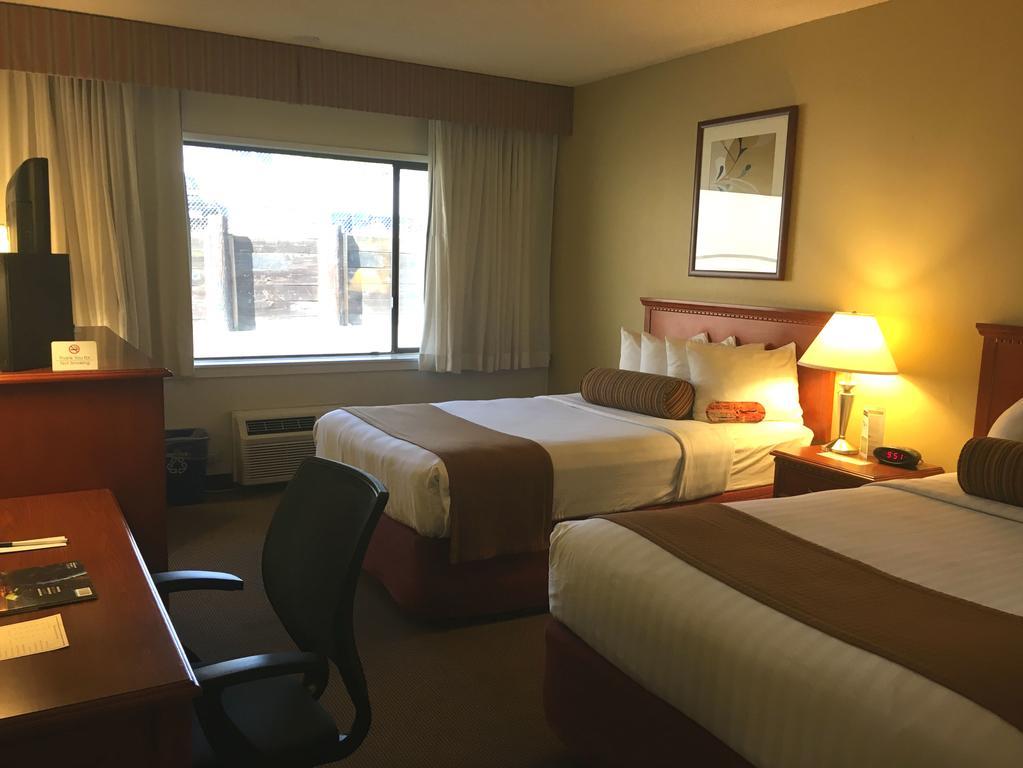 Hotel The Loyal 3*